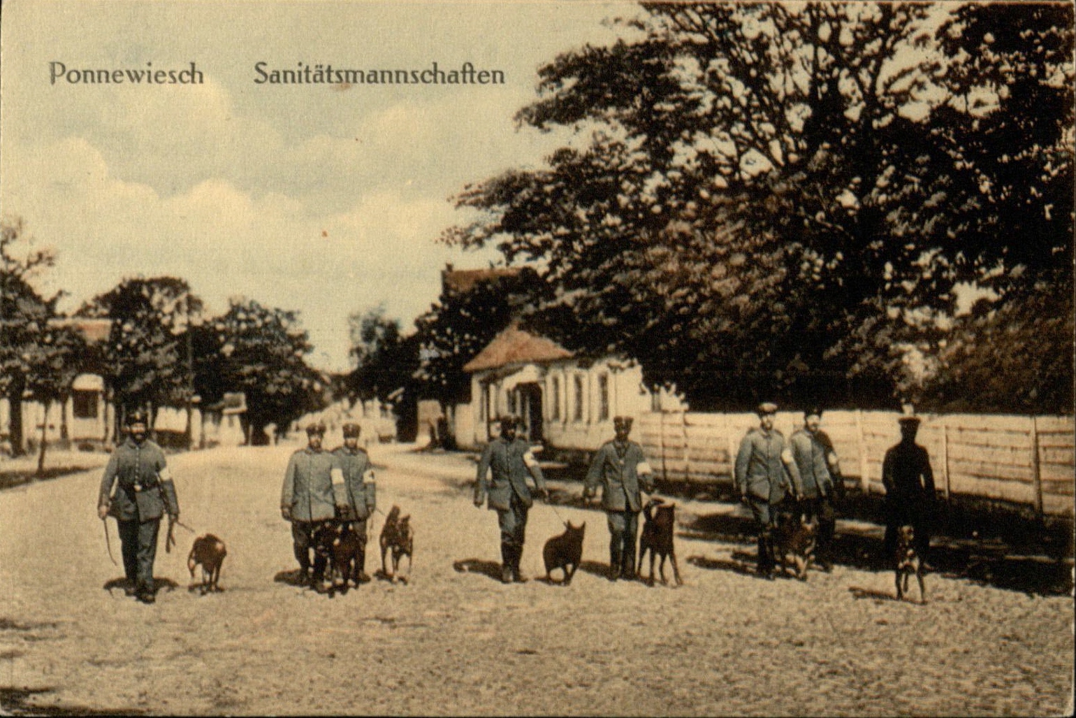Panevėžys. Atvirukas, išleistas Berlyne. [1915–1918]