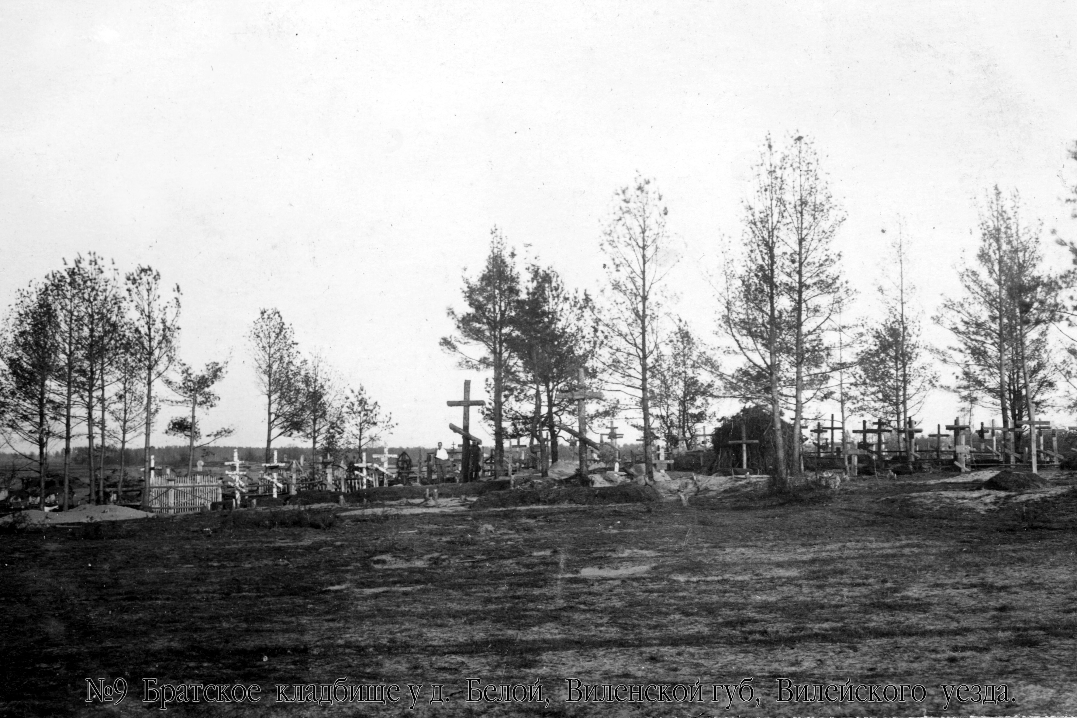 Broliškos kapinės Vilniaus gub., Vileikos apskr., Baltosios kaime