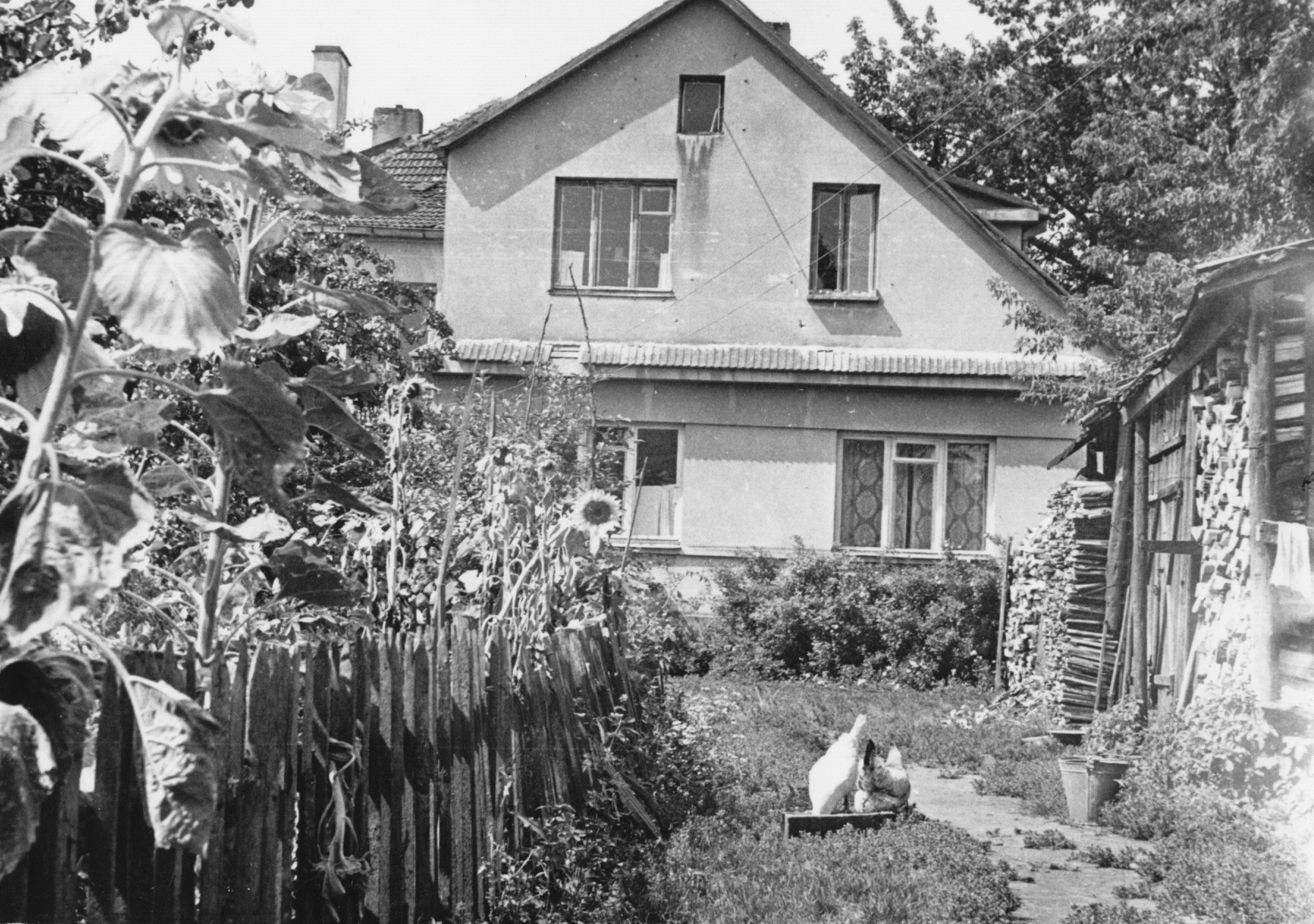 Tėvų namas Subačiuje iš kiemo pusės