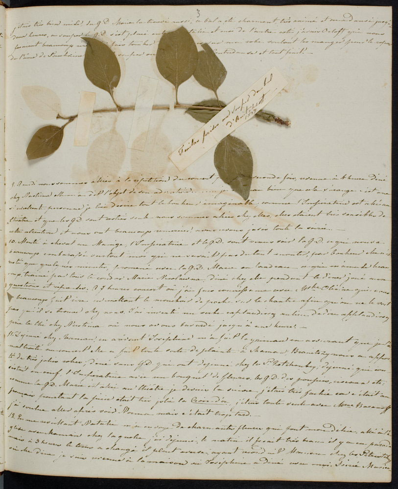 Olgos Kalinauskytės-Oginskienės dienoraštis 1836–1839