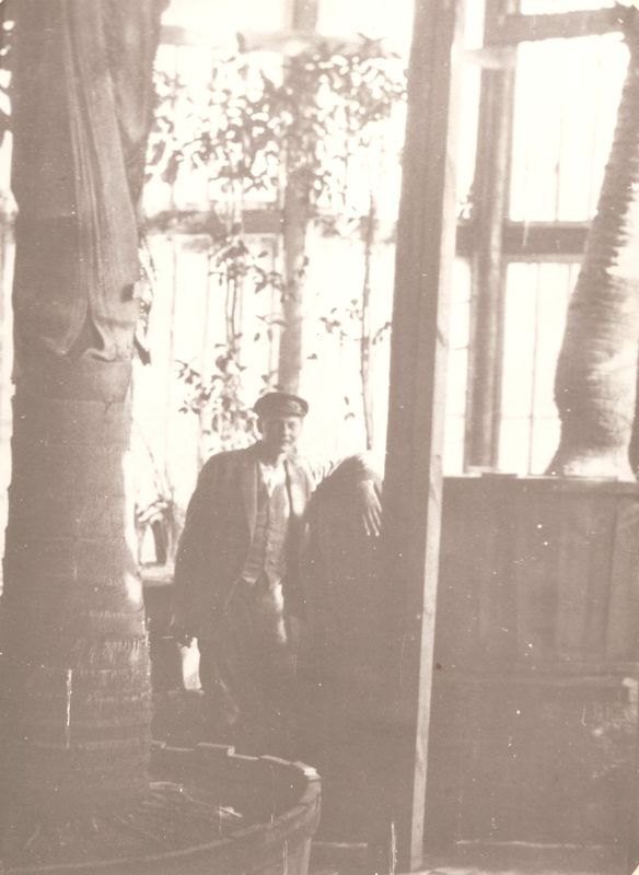 Kunigaikščio Bogdano Oginskio Rietavo dvaro sodininkas Bronius Saponka rūmų oranžerijoje
