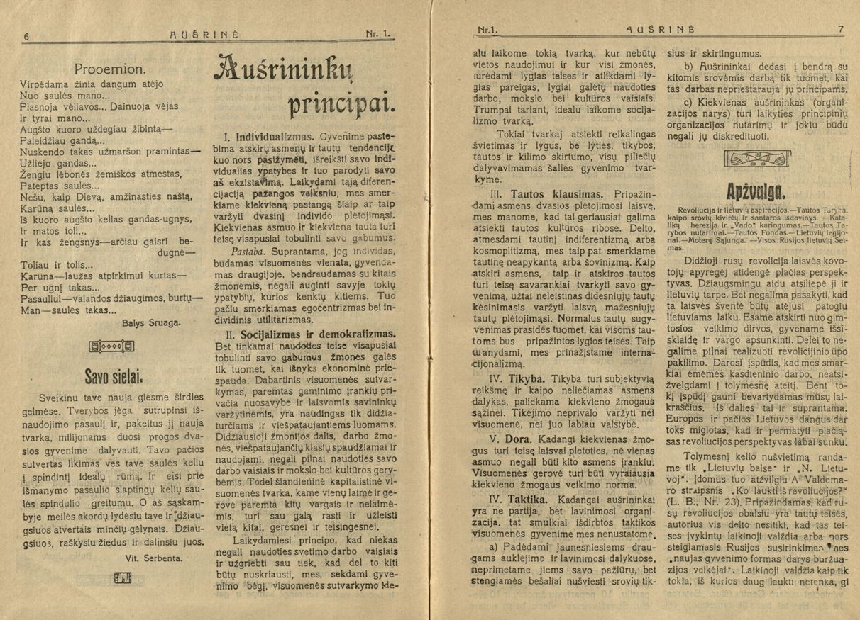 Aušrininkų organizacijos principai